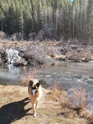 Three Mile Creek Trailhead