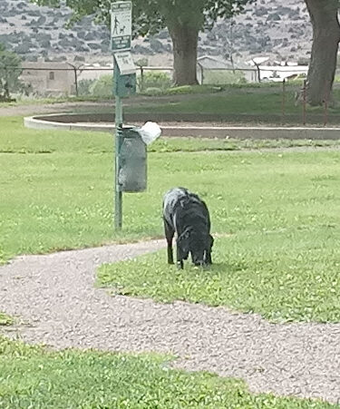 Grants Dog Park