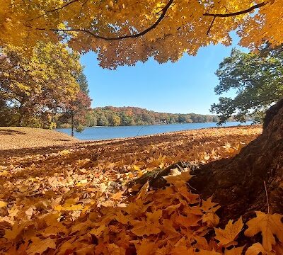 Clear Lake County Park - Grass Lake,