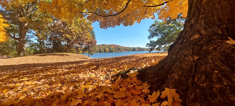 Clear Lake County Park - Grass Lake,