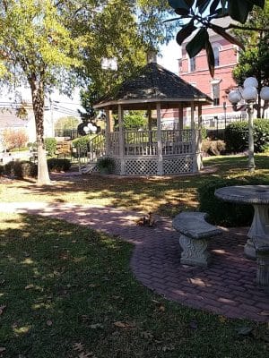 Carol's Park