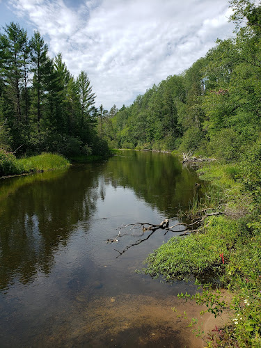 Mason Tract Pathway Trailhead - Grayling,