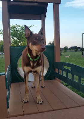 Great Bend Bark Park