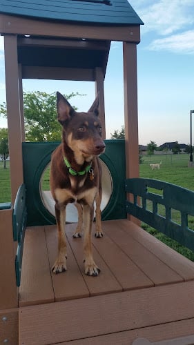 Great Bend Bark Park