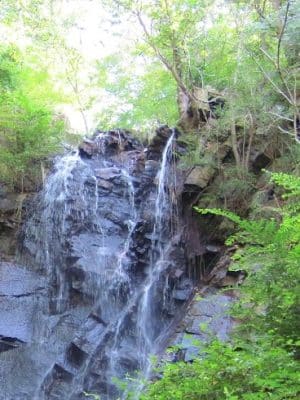 Carolina Thread Trail-Rocky Creek Trail