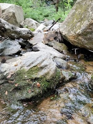 Carolina Thread Trail-Rocky Creek Trail