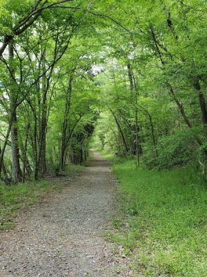 Carolina Thread Trail-Rocky Creek Trail