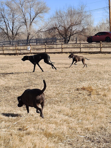 Rover Run Dog Park