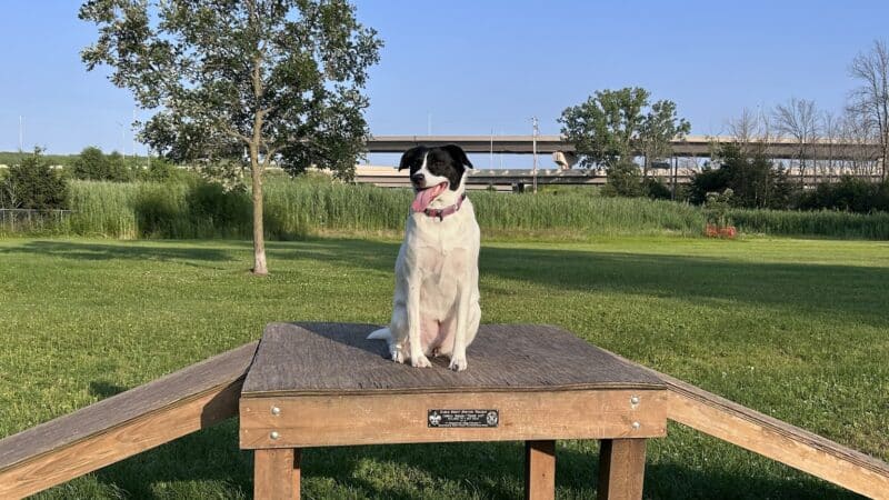 Howard Dog Park - Green Bay, WI