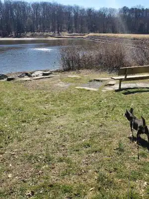 Buddy Attick Lake Park