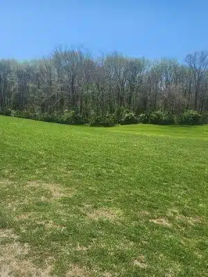 Buddy Attick Lake Park