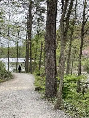 Buddy Attick Lake Park