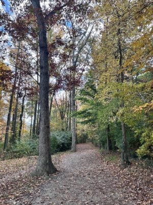 Buddy Attick Lake Park South Entrance