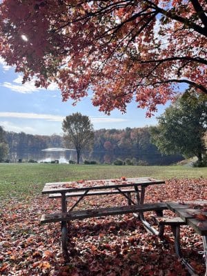 Buddy Attick Lake Park South Entrance