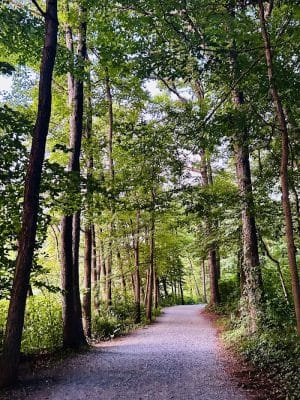 Buddy Attick Lake Park South Entrance