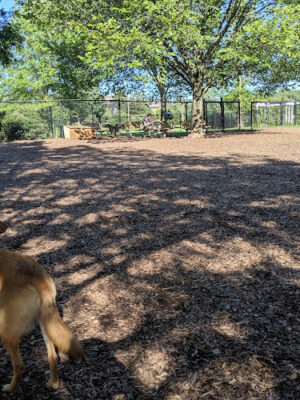Greenbelt Dog Park (Permit Only)