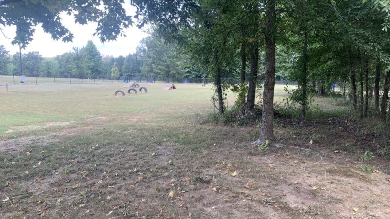 Greenbrier City Dog Park (Matthews Park) - Greenbrier, AR