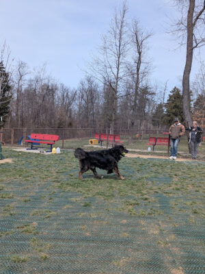 Antrim Township Community Park