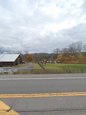 Greene Dog Park - Greene, NY