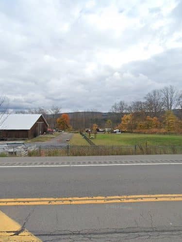 Greene Dog Park - Greene, NY