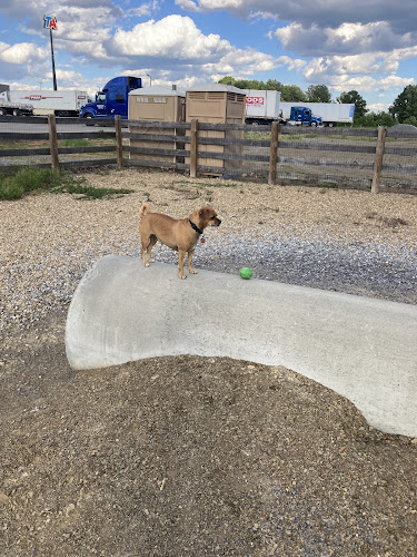 Davy's Dog Park