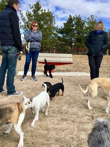 Harbor Club Dog Park - Greensboro, GA