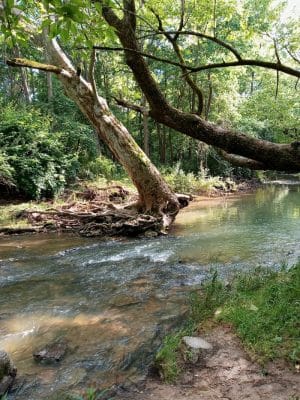 Charles L Buell Trail