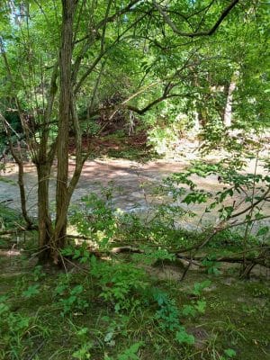 Charles L Buell Trail