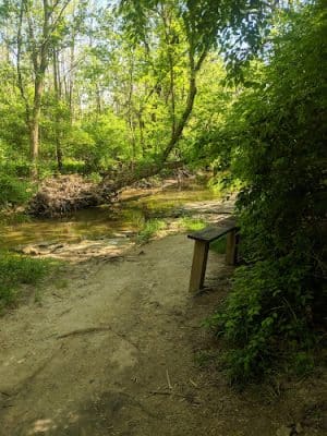 Charles L Buell Trail