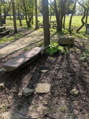 Charles L Buell Trail