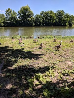Decatur County Park