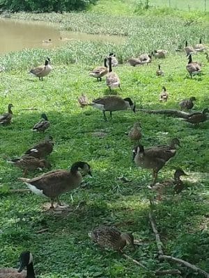 Decatur County Park