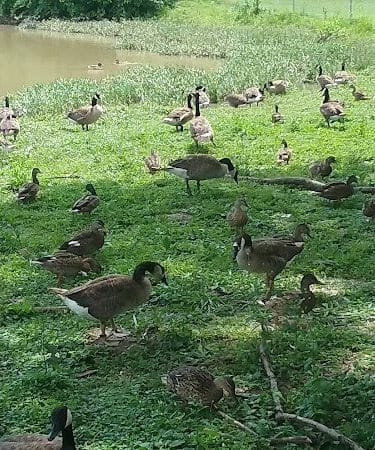 Decatur County Park