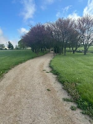 YMCA Walking Trail