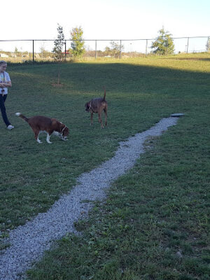 Franklin Dog Park at Twin Lakes