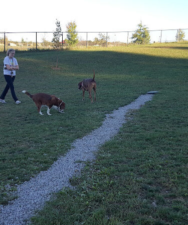 Franklin Dog Park at Twin Lakes