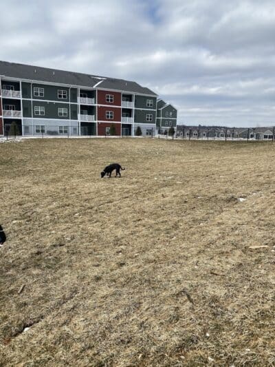 Central Bark Park - Greenville,