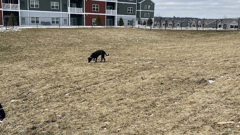 Central Bark Park - Greenville,