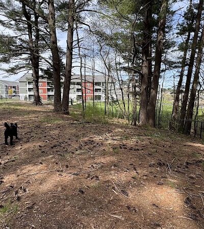 Central Bark Park - Greenville,
