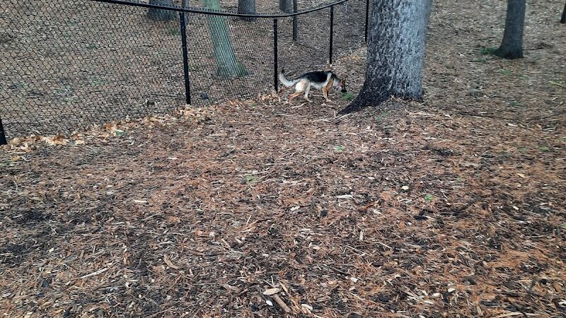 Central Bark Park - Greenville,