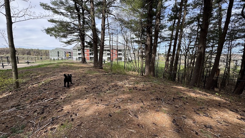 Central Bark Park - Greenville,