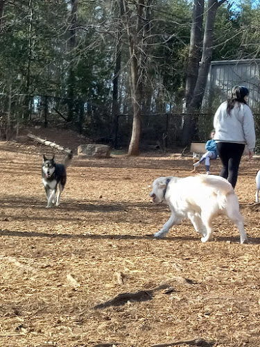 Conestee Dog Park
