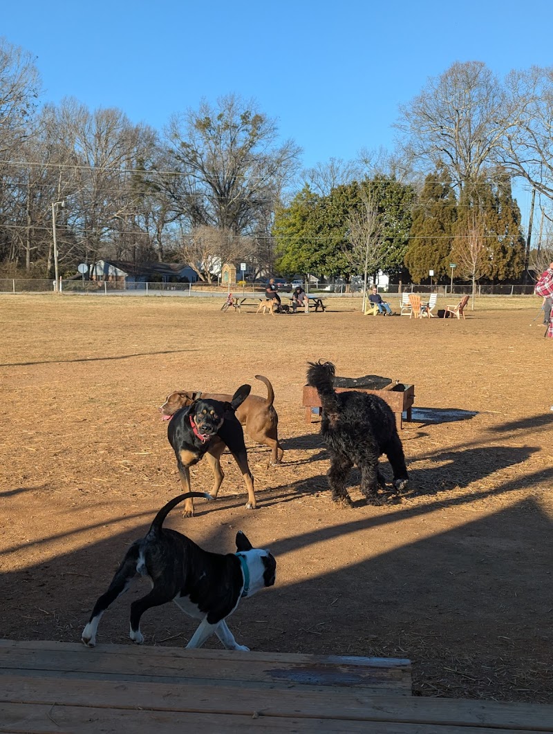 Edgewood Bark Park - Greenville, SC