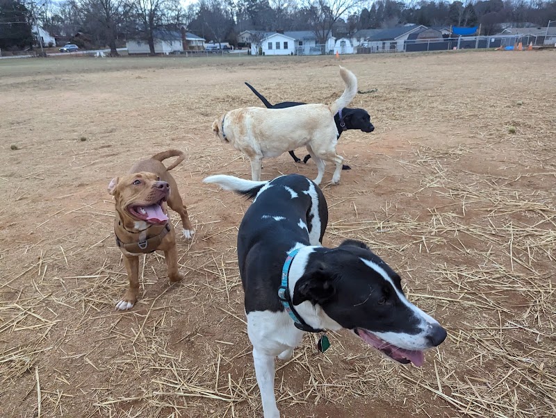 Edgewood Bark Park - Greenville, SC