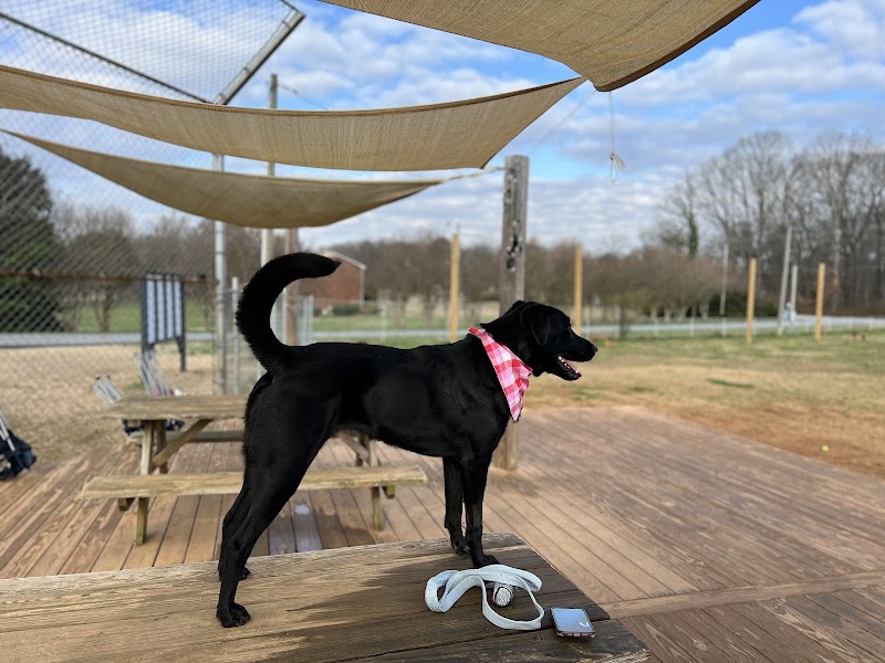 Edgewood Bark Park - Greenville, SC