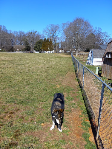 Edgewood Bark Park