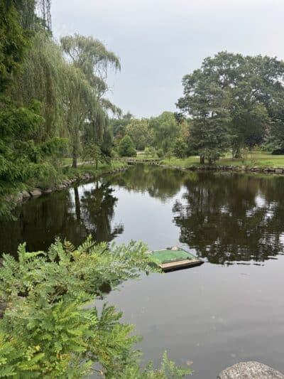 Binney Park - Greenwich, CT