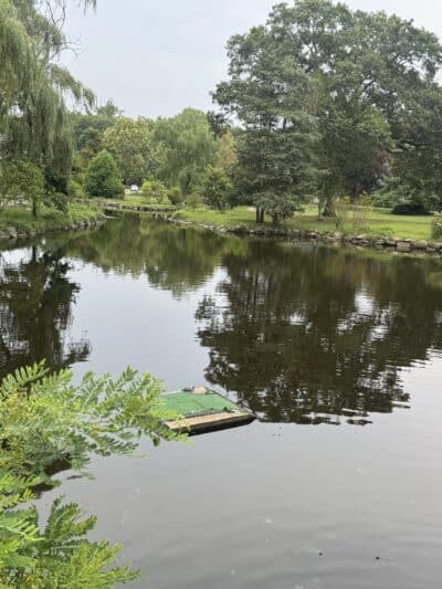 Binney Park - Greenwich, CT