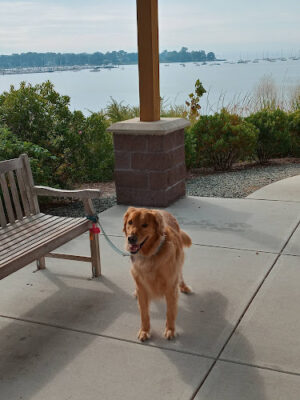 Cos Cob Park