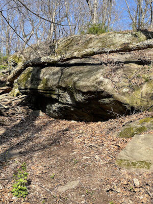 Edward R Schongalla Nature Preserve